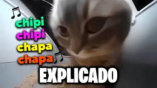 Chipi Chipi Chapa Chapa - WHERE DOES THE MEME COME FROM?  (sub in english)