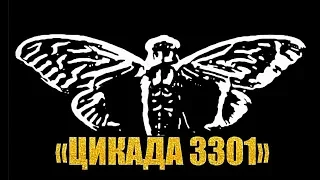 «Цикада 3301»: кто стоит за самой таинственной организацией современности