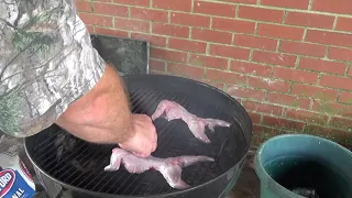 Catch and Cook || Grilled Squirrel