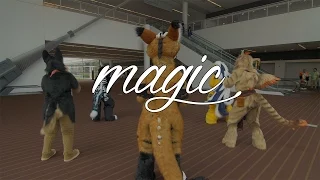 (Ruining the) Magic - The Furry Way