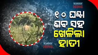 Elephant Wreak Havoc In Keonjhar