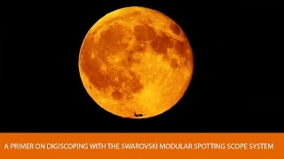 A Primer on Digiscoping with the Swarovski Modular Spotting Scope System