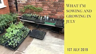 What I'm Growing and Sowing in July