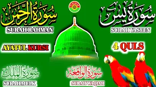 Ep 247 | Surah Yaseen 🕋 Surah Rahman 🕋 Surah Waqiah 🕋 Surah Mulk 🕋 4 Qul 🕋 @IQRAALQURANKARIM