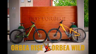 ORBEA WILD VS ORBEA RISE