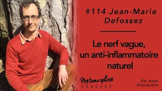 #114 Jean-Marie Defossez : Le nerf vague, un anti-inflammatoire naturel