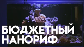 бюджетный морской наноаквариум.