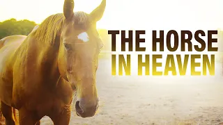 What This Horse Told Me in Heaven Will Melt Your Heart