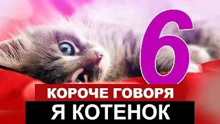 КОРОЧЕ ГОВОРЯ, Я БЕЗДОМНЫЙ КОТЕНОК #6 l ИСТОРИЯ ОДНОЙ ЖИЗНИ l ЖИЗНЬ КОТА [От первого лица]