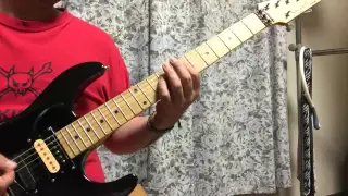 ANTHEM     WILD ANTHEM  guitar cover