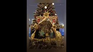 Рождество Христово в Храме Христа Спасителя. Москва новогодняя, 2024 г.