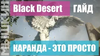 📣 Black Desert. Каранда. Практический гайд