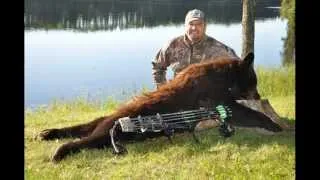 Arrowed TV's Terry Meiners Bear Hunt Preview.. Go To www.arrowedtv.com To watch the whole hunt..