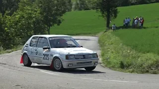 CLIP 2° Rally Salsomaggiore Terme 2019 Zerbetto - Costenaro by Ferrario