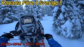 First Ride 2024 Polaris Rmk Khaos 9R 155 Deep Snow In The Mountains !