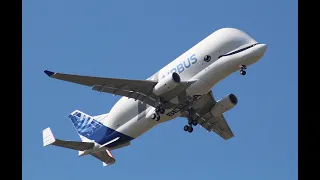 Airbus Beluga XL flypast at RIAT Airshow Fairford