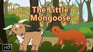 Short Stories For Children - The Little Mongoose - Stories of Wisdom - Animated Stories With MORAL