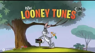 Cartoon Network Asia : New Looney Tunes (Opening and Ending)