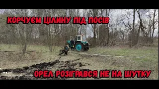 ЮМЗ ОРЕЛ Корчує Дерева Цілина