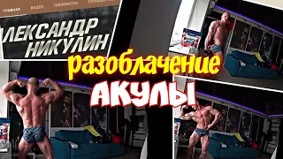 Александр Никулин РАЗОБЛАЧЕНИЕ