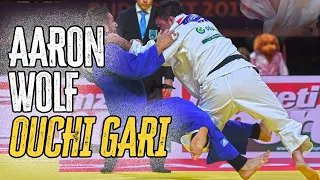 Aaron Wolf Ouchi Gari - ウルフアロン　お内刈  [Judo Techniques, Judo Throws, and Judo Ippons!]