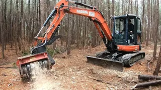 OWNER IN COMPLETE DISBELIEF AFTER MULCHING HUNDREDS OF STUMPS!