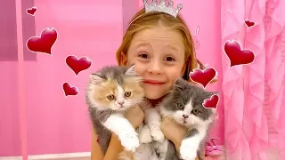 Nastya and the daily routine of the house with kittens