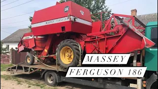 Massey Ferguson 186 на продаж