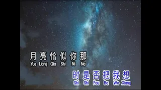 XIANG NI DE SHI HOU WEN YUE LIANG ( 想你的时候问月亮 ) PINYIN LYRICS