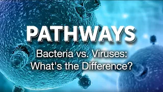 Pathways: Bacteria vs. Viruses: What's the Difference?