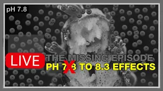 7.8 pH Is a Bad Move. Embracing Reef Tank Acidification (RTA) Is the Right Move!