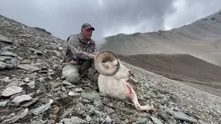 Wolverine Outfitter 2023 Alaska Dall Sheep Hunt