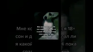 Собака с черными глазами под страшный звук стоит в углу #shorts #meme #memes