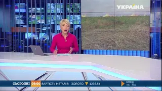 На Полтавщині горіло 60 га кукурудзяного поля