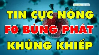 TIN CỰC NÓNG COVID-19 TỐI 23/11: DỊCH VIRUS CORONA HÔM NAY CẬP NHẬT MỚI NHẤT | TPSK