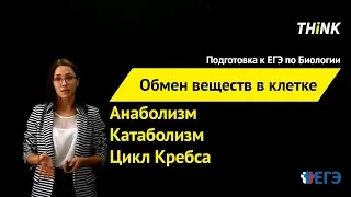 Обмен веществ в клетке | Подготовка к ЕГЭ по Биологии