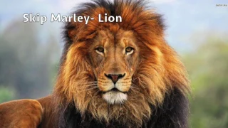 SKIP MARLEY - LION