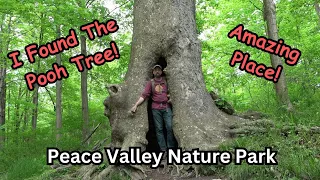 I Found the Pooh Tree! ~ Peace Valley Nature Park