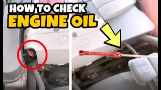 How to Check Engine Oil Level for Your Car (Where to Find Engine Oil Pin / Dipstick)