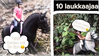 Kymmenen erilaista LAUKKAAJAA😝🐎🐴 Tuleeko tästä uus sarja?🤔LUE KUVAUS!!!!!!