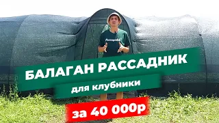 РАССАДНИК ДЛЯ КЛУБНИКИ ЗА 35-40 тысяч рублей
