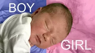 NEW BABY GENDER REVEAL!!! BOY OR GIRL?