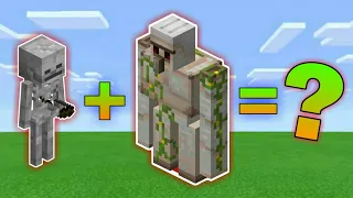 I Combined a Skeleton and a Iron Golem - Minecraft