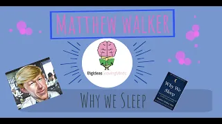 Why We Sleep By Matthew Walker: Animated Summary