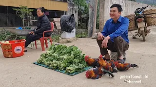 Sell wild chickens and vegetables. Robert | Green forest life (ep276)