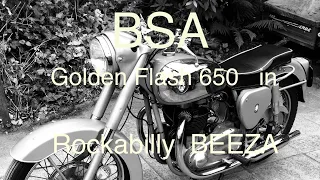 BSA  A10 650 Golden Flash in ROCKABILLY  BEEZA