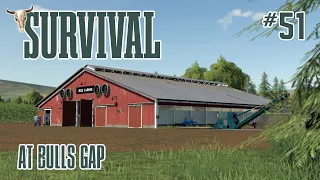 We're Expanding into Animals! - Survival at Bulls Gap - Ep51 - FS19