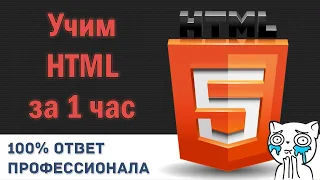 Как выучить html за 1 час от профессионала / html / как создать свой сайт в html / функции в html