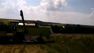 Claas Dominator 66.Перший виїзд в поле,жнива 2018 #жнива #claas #claasdominator66