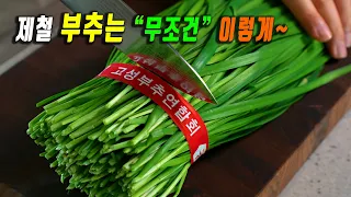 It's so delicious that I'm making it for the 10th time. 3 Korean leek dishes